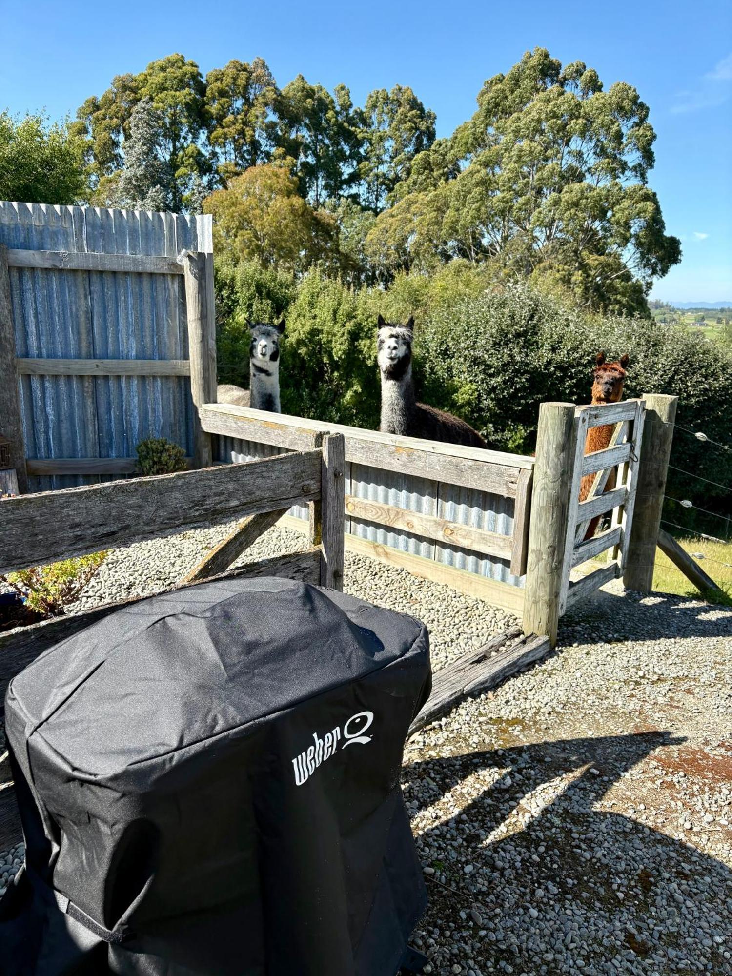 The Shepherd'S Rest Oamaru Exterior photo